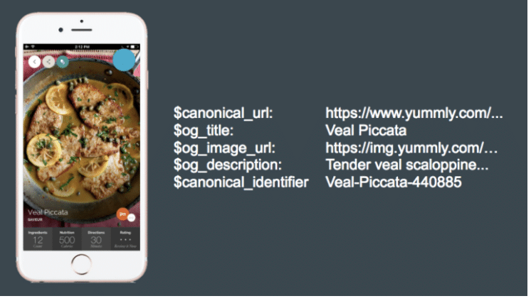 Branch Concepts: The Branch Universal Object