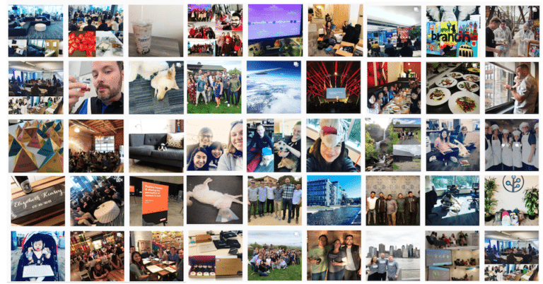 cover scaling branch