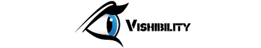 Logo VISIBILITY