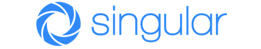 Singular Logo